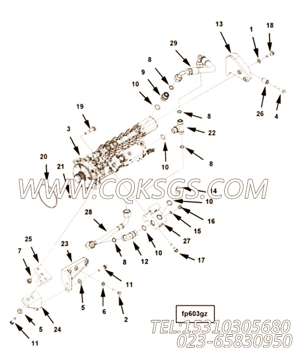 Pump, Fuel Injection