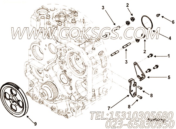 【燃油泵齿轮】康明斯CUMMINS柴油机的3942772 燃油泵齿轮