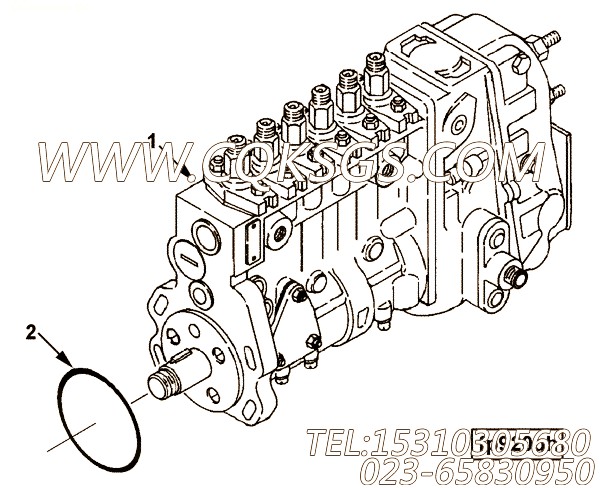 Pump, Fuel Injection