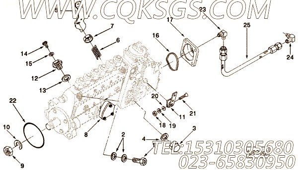 【喷油泵】康明斯CUMMINS柴油机的3921135 喷油泵