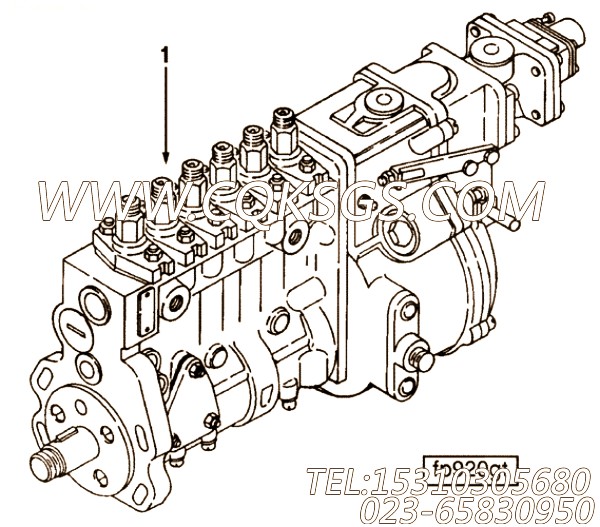 【发动机6CT8.3-C215的基本燃油泵组】 康明斯装机规格,参数及图片