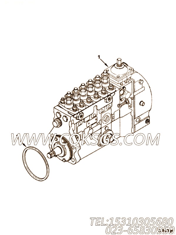 Pump, Fuel Injection