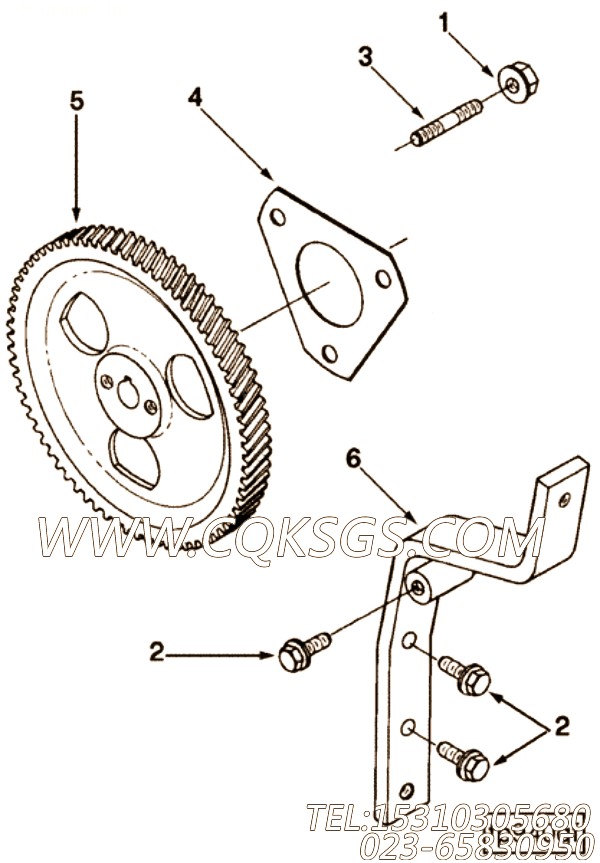 Gear, Fuel Pump