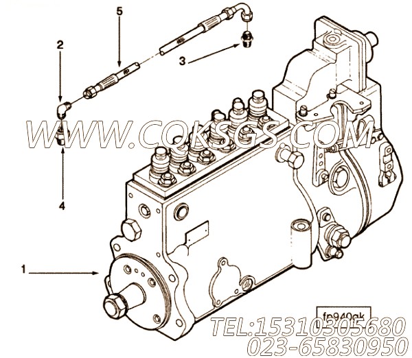 Pump, Fuel Injection