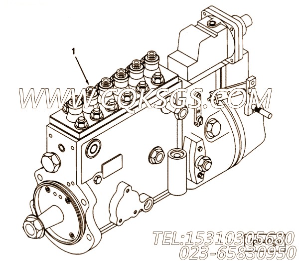 【柴油机C8.3-325的基本燃油泵组】 康明斯燃油喷射泵,参数及图片