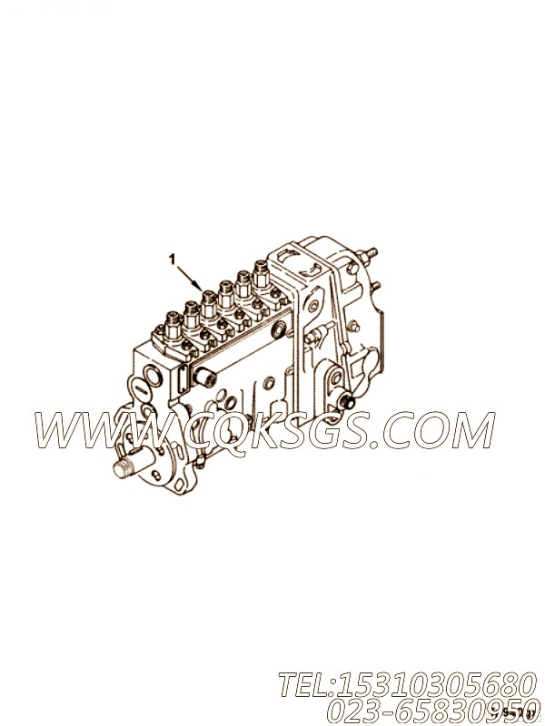 【引擎6BTAA5.9-GM115的燃油喷射泵组】 康明斯燃油喷射泵,参数及图片