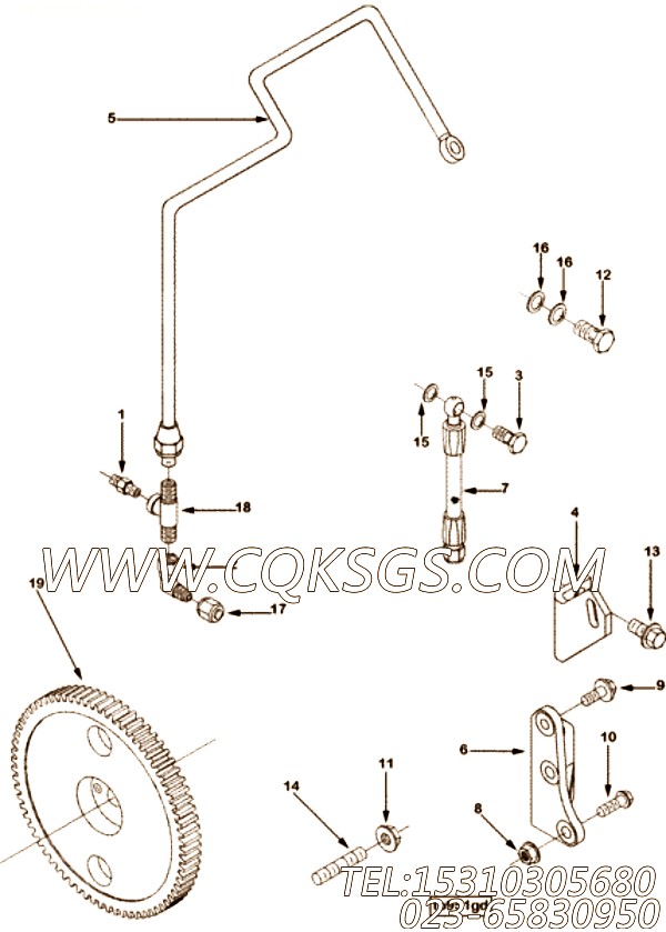 Gear, Fuel Pump