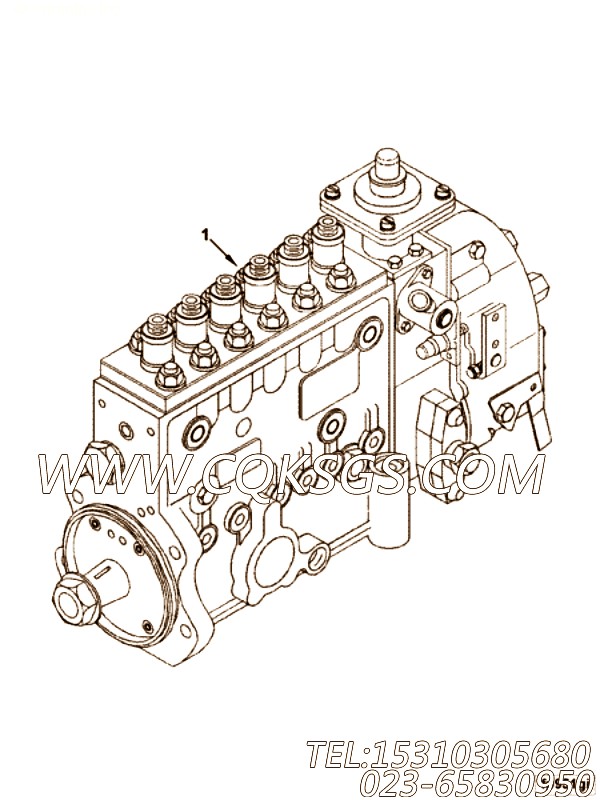 【C4944056】燃油喷射泵 用在康明斯柴油发动机