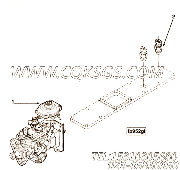 Pump, Fuel Injection