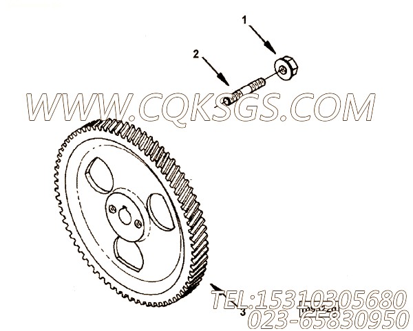 【燃油泵齿轮】康明斯CUMMINS柴油机的3946528 燃油泵齿轮