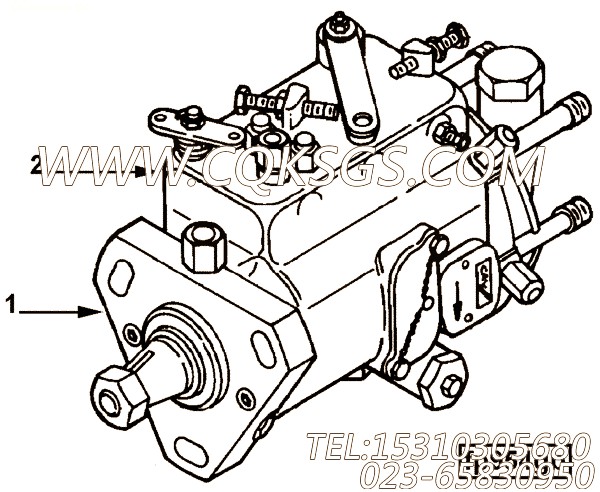 Pump, Fuel Injection
