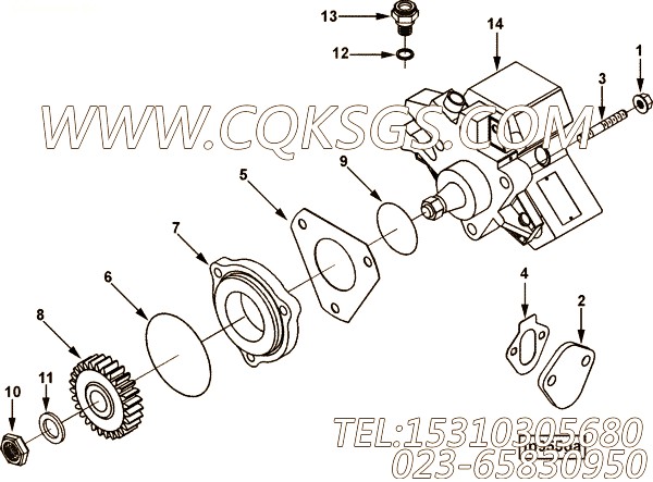 【燃油泵】康明斯CUMMINS柴油机的4894667 燃油泵
