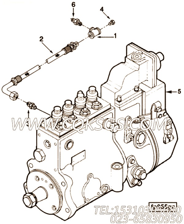 Pump, Fuel Injection