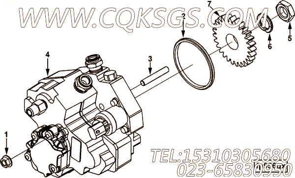 【燃油泵】康明斯CUMMINS柴油机的3954791 燃油泵