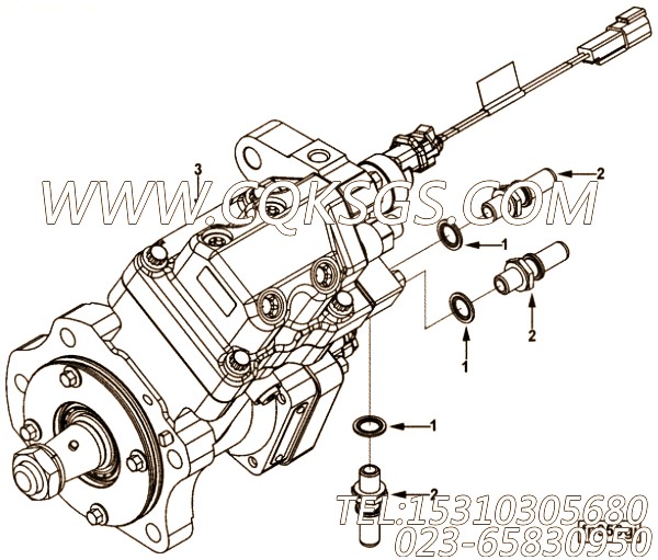 Assembly, Fuel Pump
