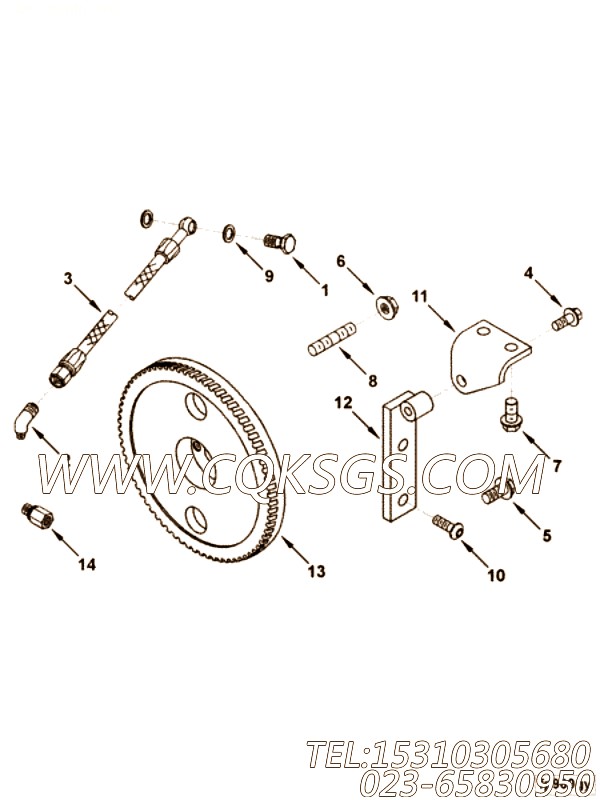 Gear, Fuel Pump