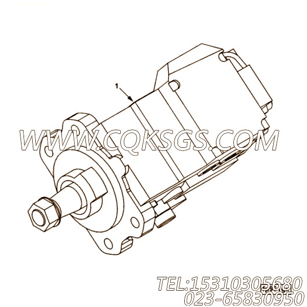 Pump, Fuel Injection