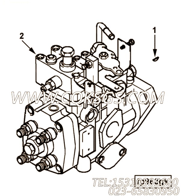 【喷油泵】康明斯CUMMINS柴油机的4901109 喷油泵