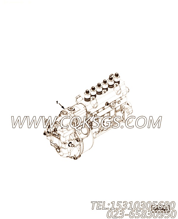 【C5263834】燃油喷射泵 用在康明斯引擎