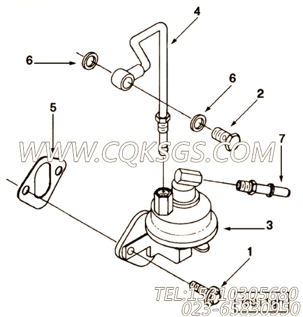 【Connector, Qck. Disconnect】康明斯CUMMINS柴油机的3919755 Connector, Qck. Disconnect