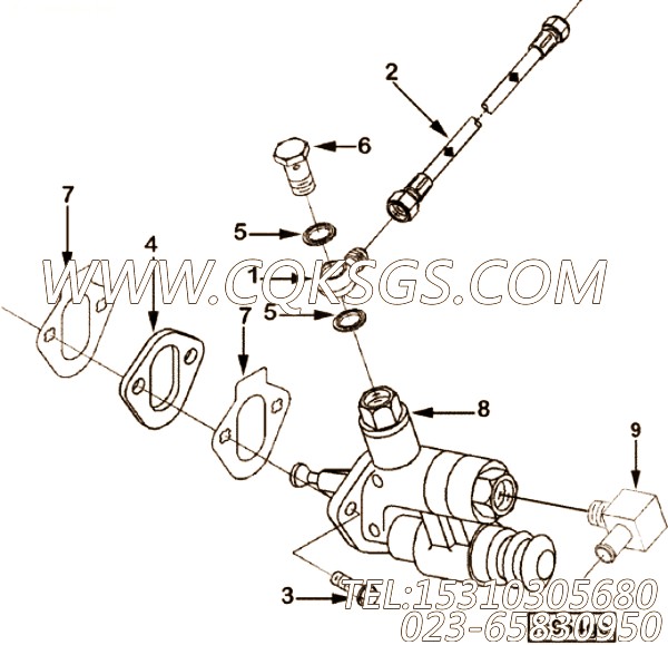 Pump, Fuel Transfer
