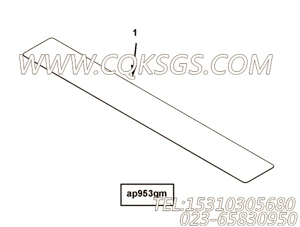 【铭牌】康明斯CUMMINS柴油机的2878166 铭牌