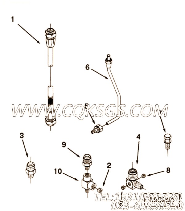 3629438阳性接头,用于康明斯KT38-M800柴油机燃油管组,【船用主机】配件