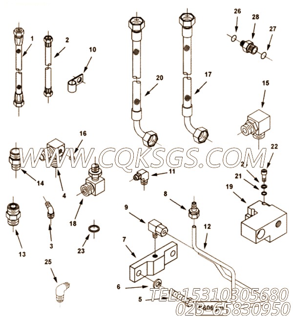 3632237阳性接头,用于康明斯KTA38-C1050柴油机燃油管组,【轨道车】配件