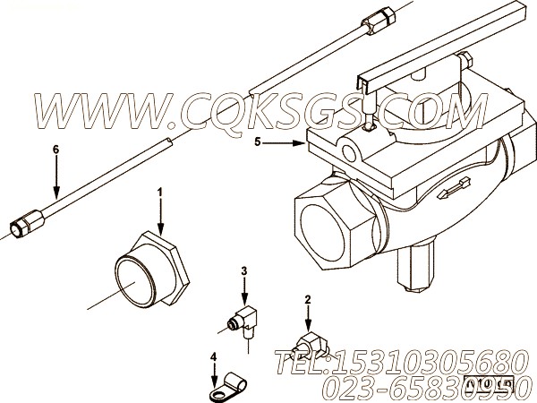 【切面】康明斯CUMMINS柴油机的3657719 切面