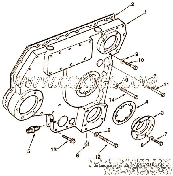 Connector, Male