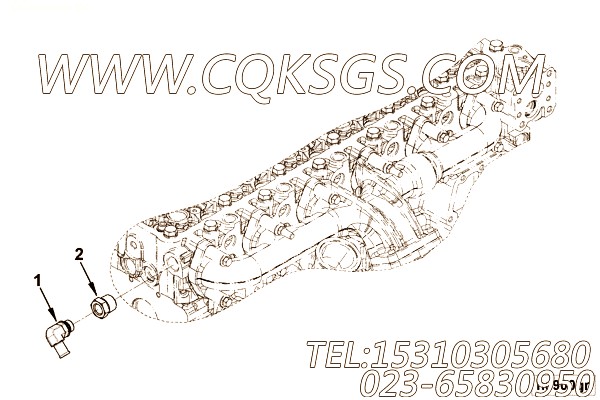 Connector, Female