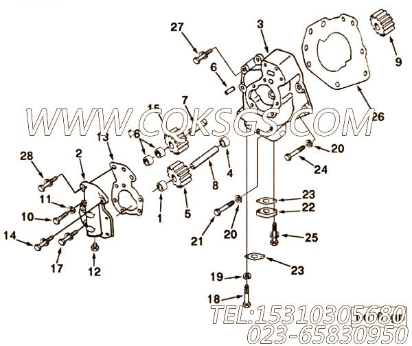 Gasket, Lub Oil Pump