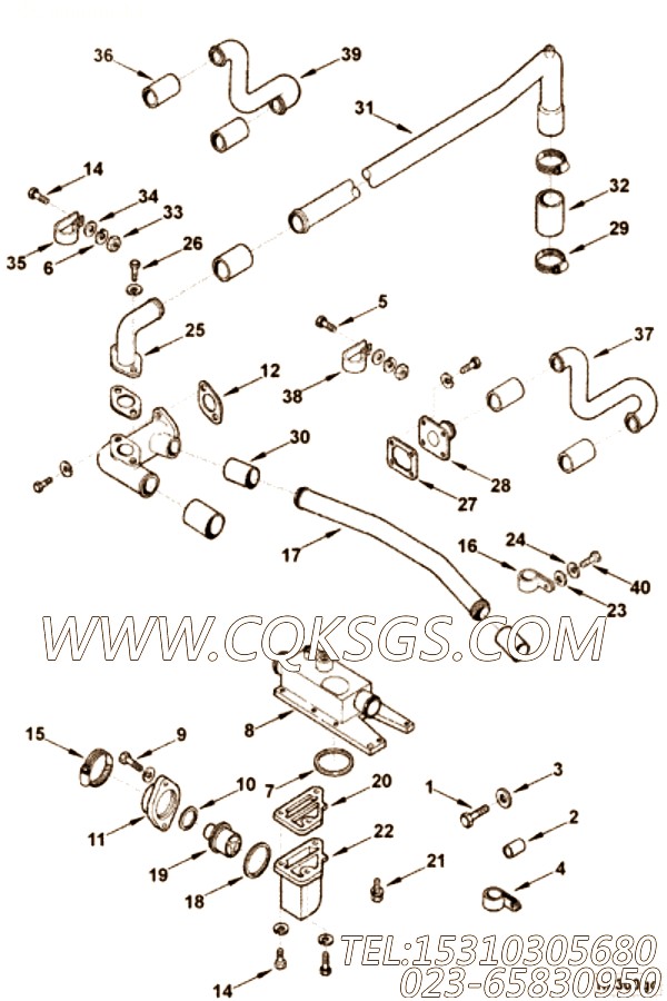 【切面】康明斯CUMMINS柴油机的3003756 切面