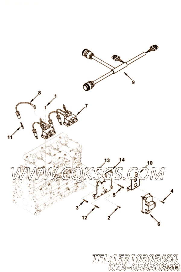 【引擎B5.9-230G的点火系统组】 康明斯六角法兰面螺栓,参数及图片