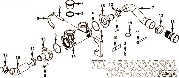 Hose, Molded