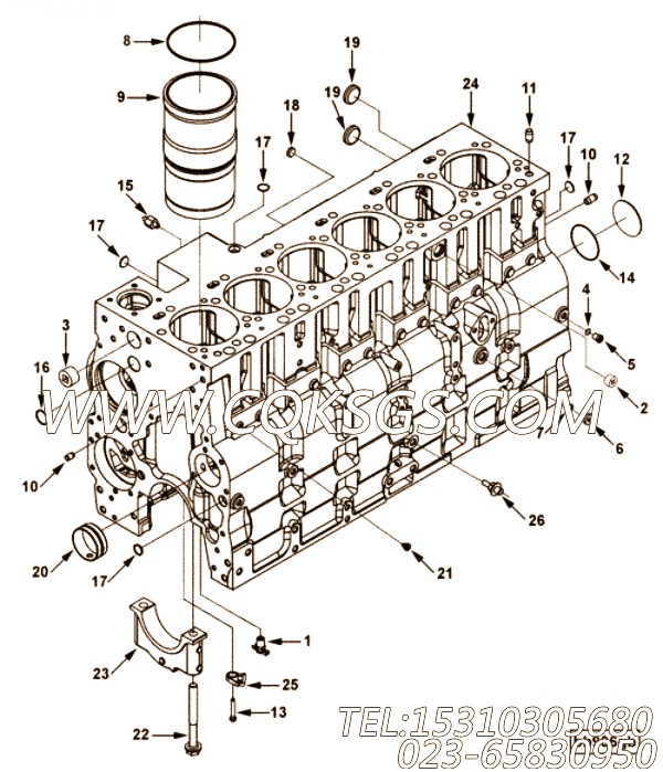 【引擎ISC8.3-230E40A的缸体组】 康明斯六角法兰面螺栓,参数及图片