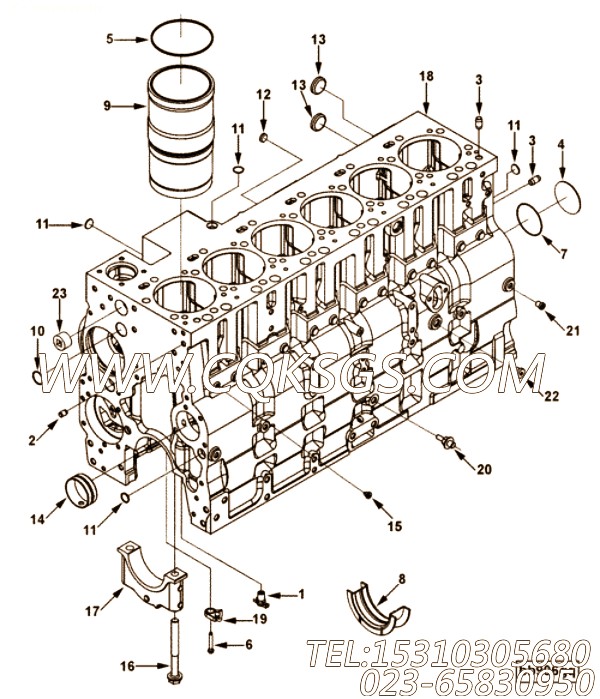 【引擎6CTA8.3-C230的缸体加油附件组】 康明斯碗形塞,参数及图片