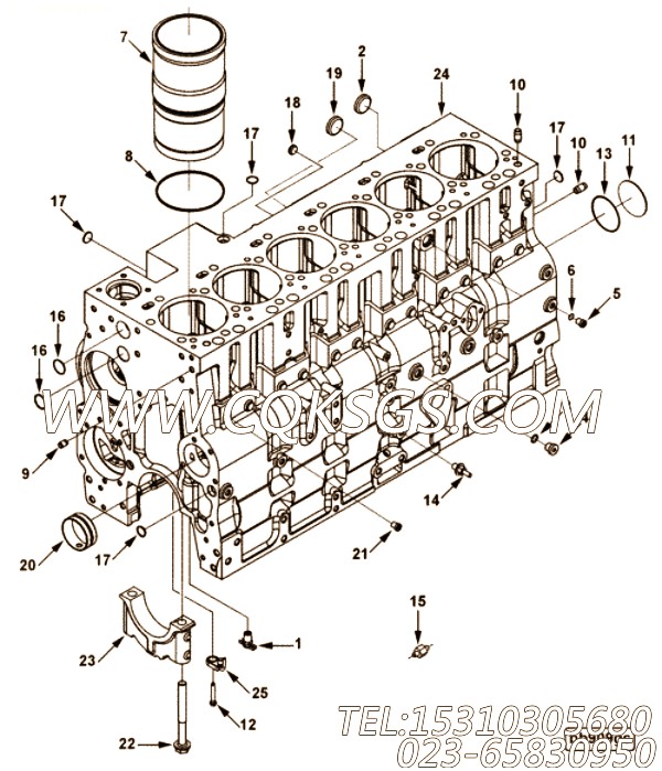 【发动机ISCE8.3的缸体总成】 康明斯主轴承盖螺栓,参数及图片