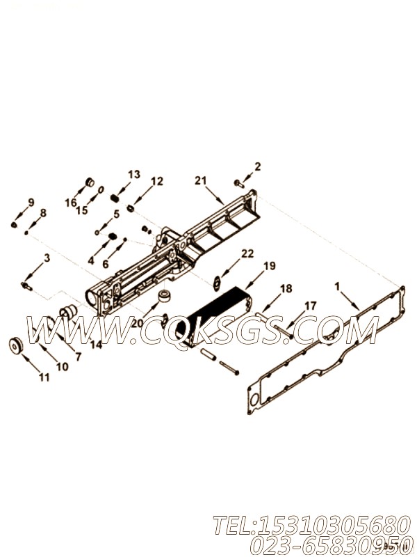 Gasket, Oil Cooler Core