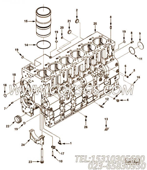 【柴油机ISC8.3-245E40A的缸体组】 康明斯六角头螺栓,参数及图片
