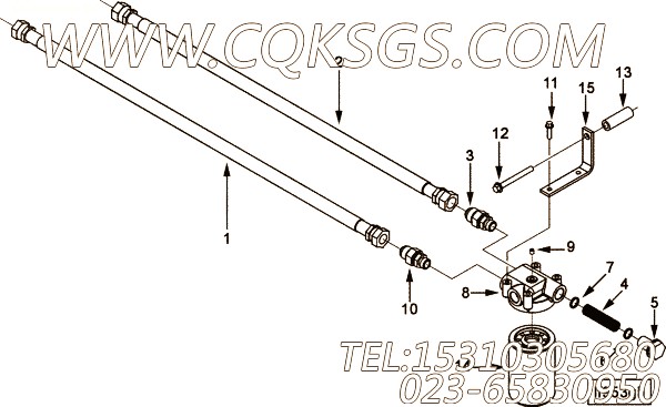 Connector, Male