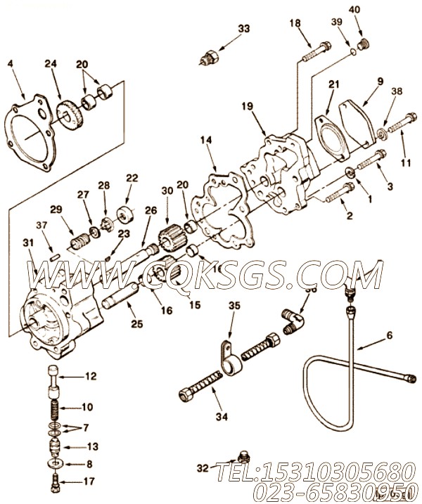 Pump, Lubricating Oil