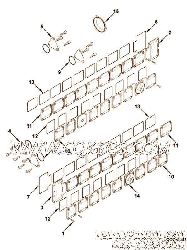 Gasket, Cover Plate