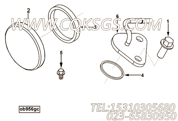 Connection, Oil Drain