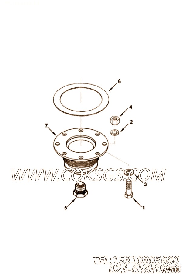 Gasket, Flange