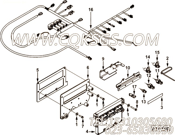 Harness, Wiring