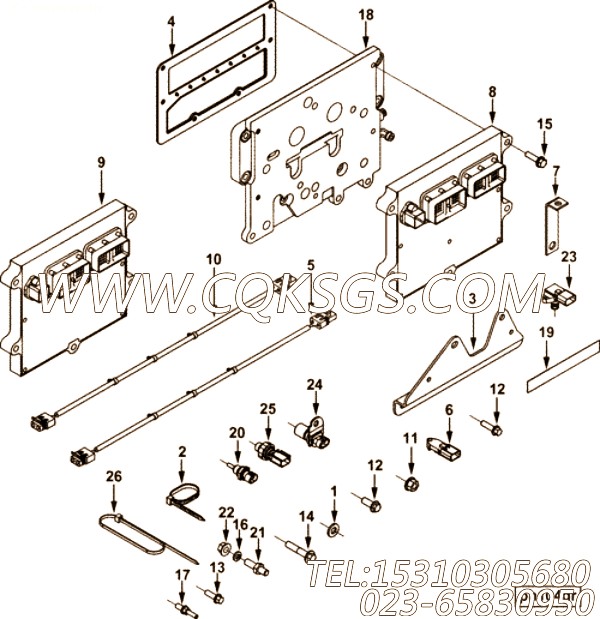 Harness, Wiring