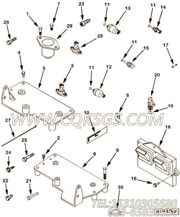 Harness, Wiring