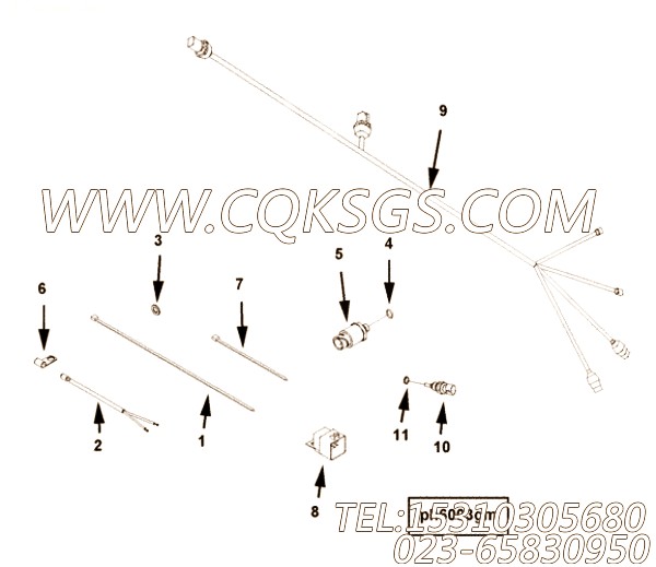 Harness, Wiring