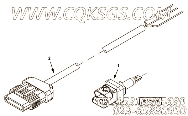 Harness, Wiring